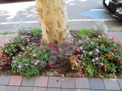 癒されるピンク、白系の花壇