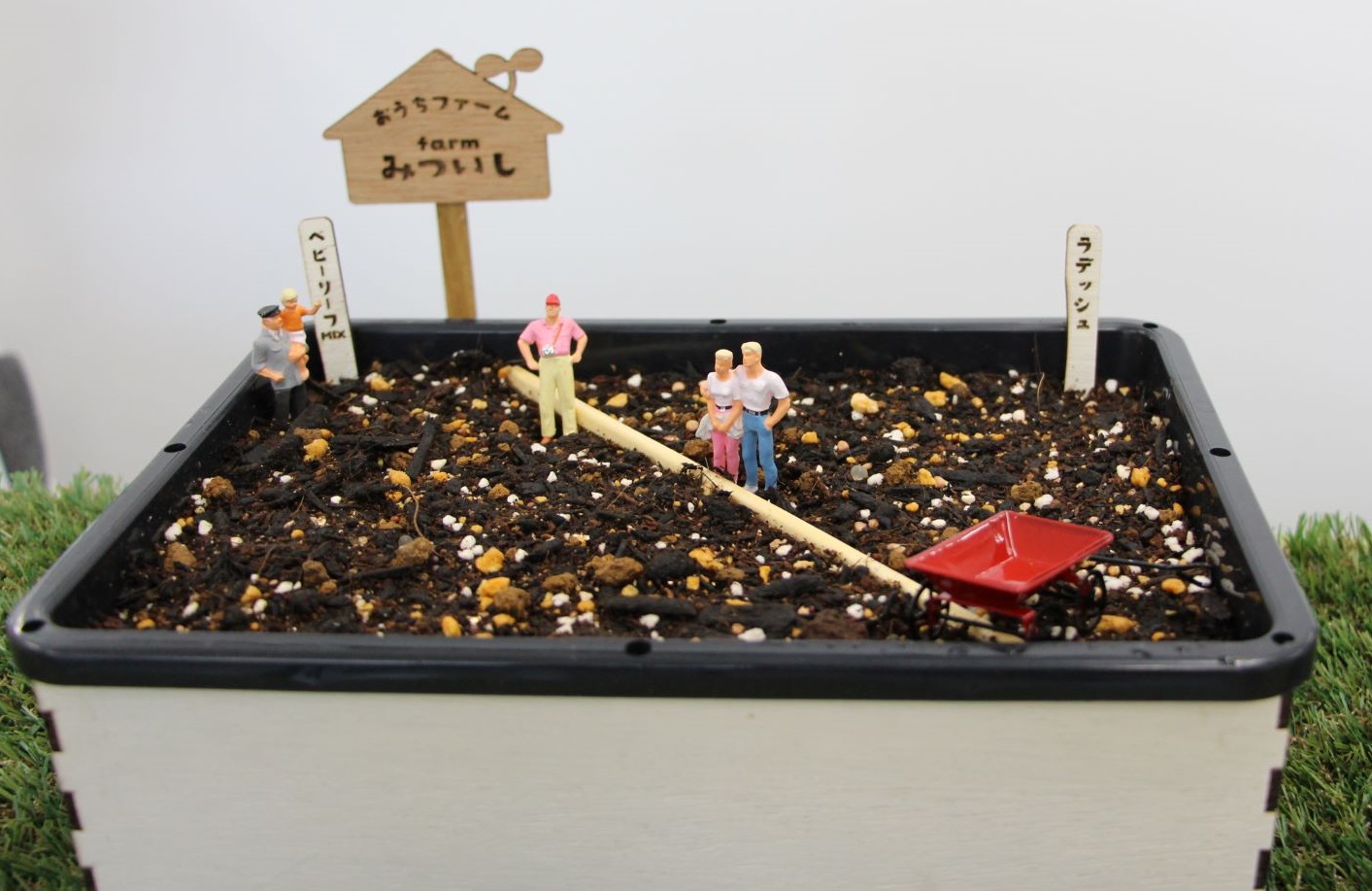 種まきをした育苗箱