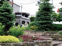 ゆめガーデンサポーターズ（南羊ヶ丘町内会）