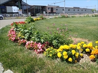 百合が原花壇を造り隊