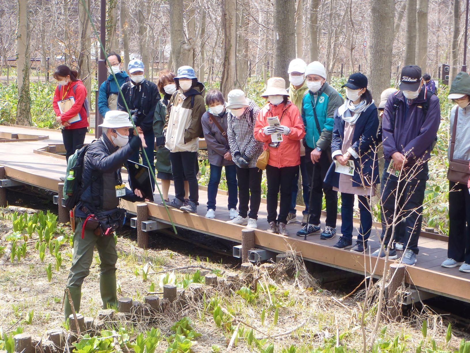 星置緑地での自然観察会の様子