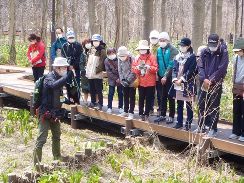 _星置緑地での自然観察会の様子