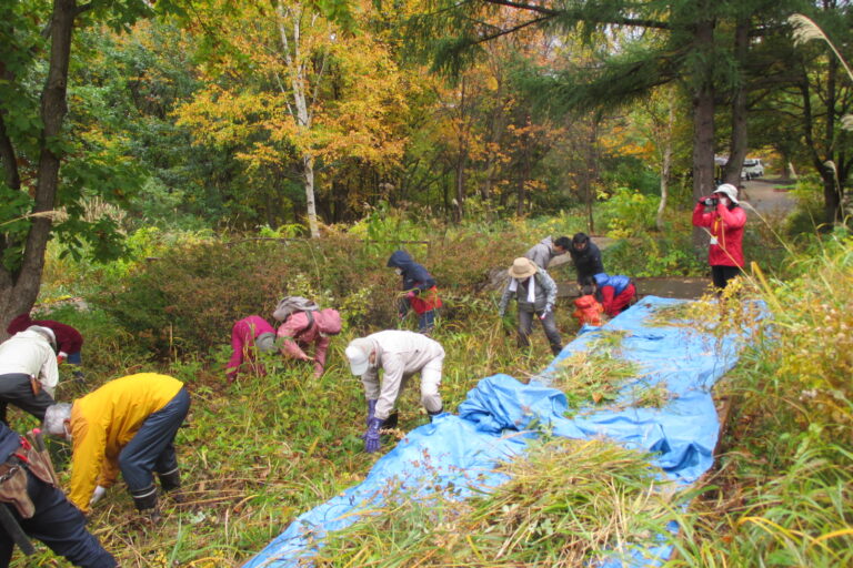 作業講習会の様子