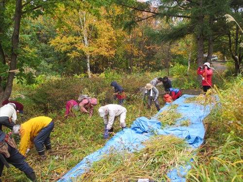 作業講習会の様子
