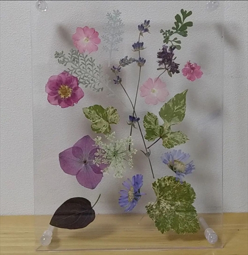 参加者の作品紹介