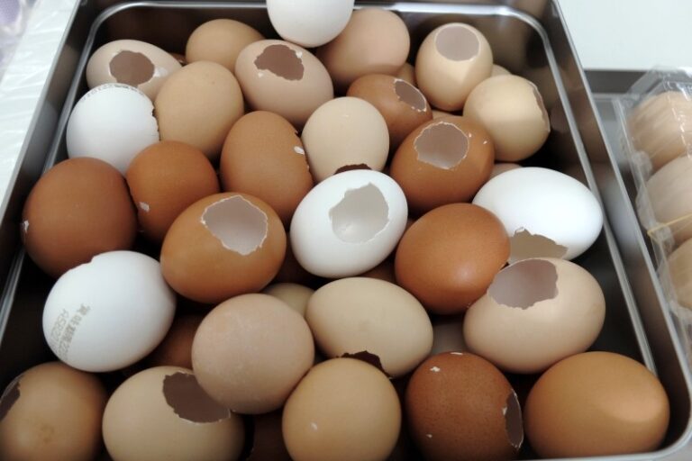 ポプリエッグ用のたまご