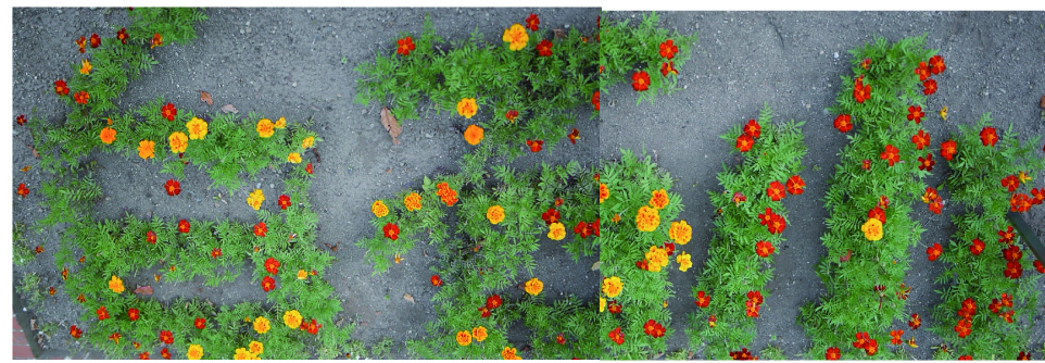 150周年記念花壇