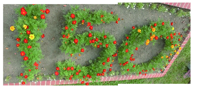 150周年記念花壇