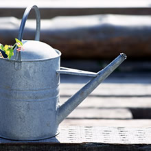 助成・支援制度の写真