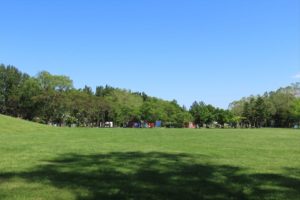 スキー山の下に広がる芝生と遠くに見える遊具の写真