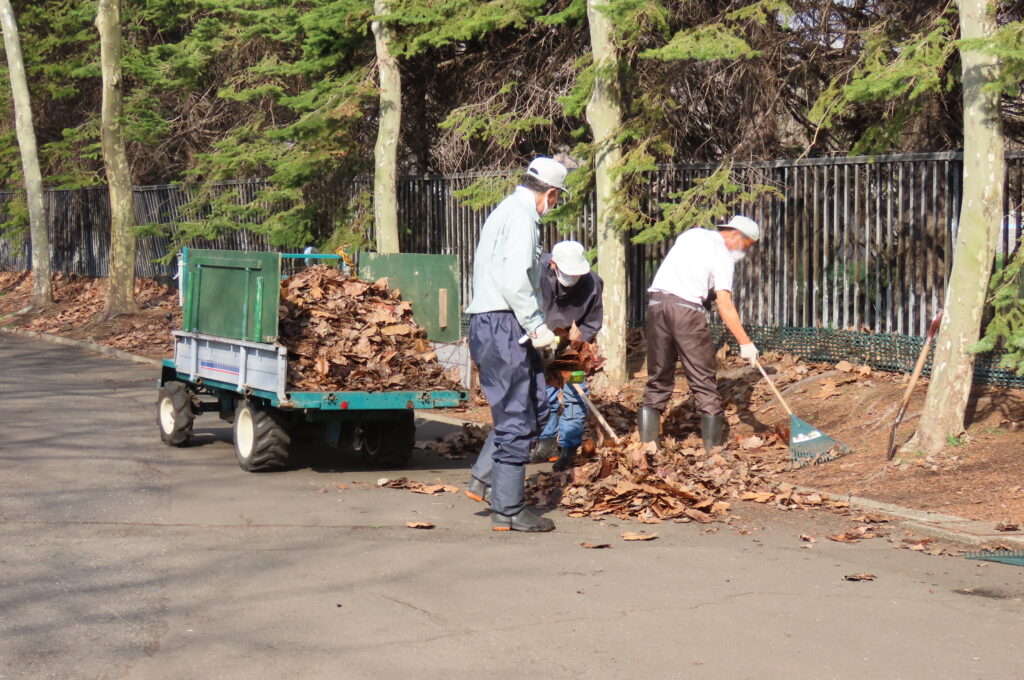園路の落ち葉を掃除している写真
