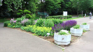 管理事務所前にある小さな花壇の写真