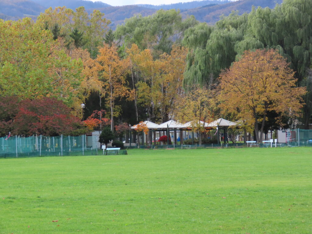 パークゴルフ場の写真