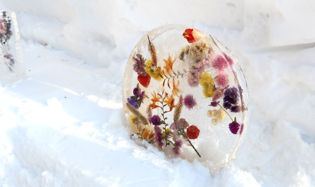 丸い氷の中に花を閉じ込めた写真