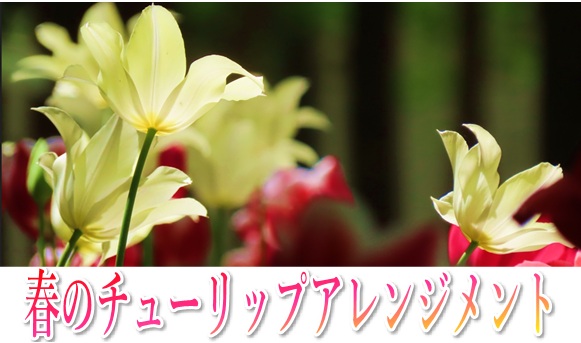 春の講習会のお知らせ