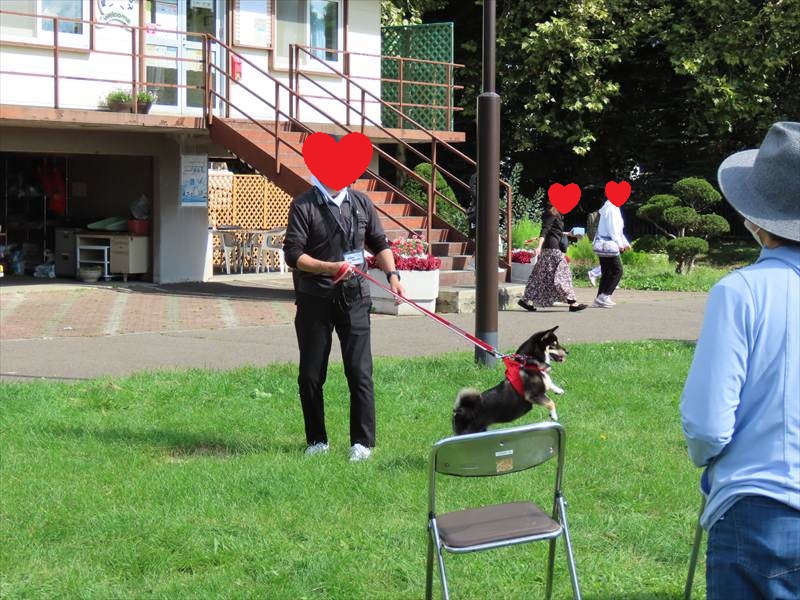 リードの使い方を説明している写真