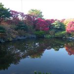 秋の静かな日本庭園