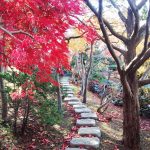 日本庭園の小径