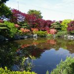 ツツジの頃の日本庭園