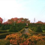広場の紅葉と西洋庭園