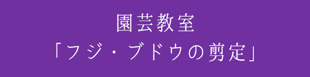 10月18日 13 30 開催 フジ ブドウの剪定 平岡樹芸センター