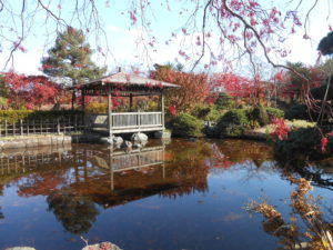 日本庭園の様子