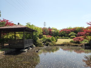 日本庭園と四阿