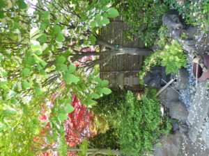 水琴窟とハクウンボク