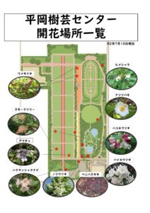 平岡樹芸センター7月10日開花場所一覧
