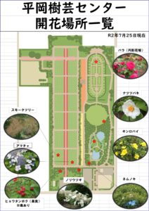 7月25日開花場所