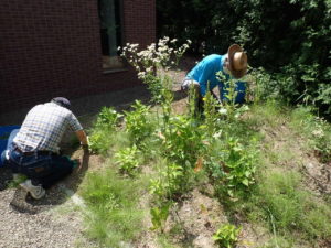 ボランティア活動2