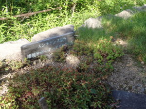 ボランティア活動6