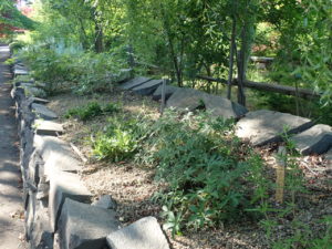 ボランティア活動7