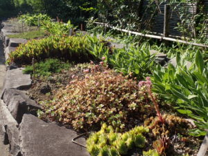 ボランティア活動8