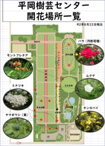 8月22日開花状況