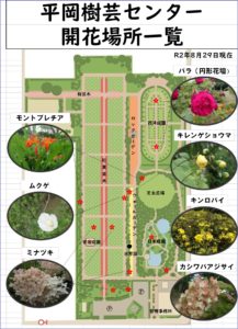 8月29日開花状況
