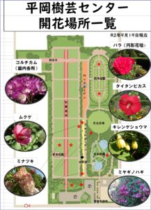 9月19日開花状況