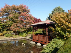日本庭園　四阿