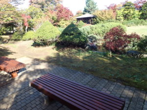 日本庭園　ベンチ