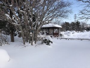 日本庭園雪景色