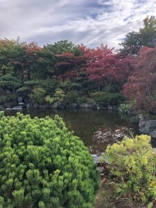 日本庭園の紅葉