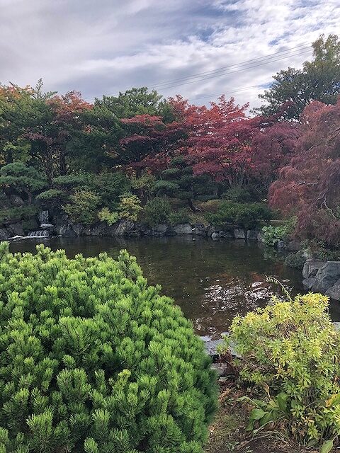 10月6日 園内の紅葉状況 – 平岡樹芸センター