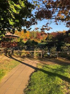 日本庭園の紅葉