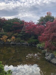 日本庭園の紅葉1