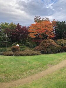 日本庭園の紅葉2