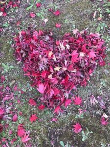 モミジの葉で作ったハート