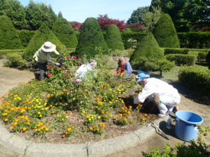 ボランティア団体三次郎の会による花壇の手入れをおこなっています