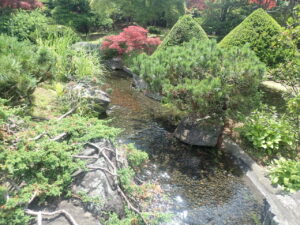 日本庭園の川2