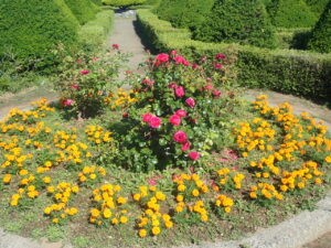 西洋庭園の花壇2