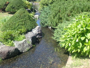 日本庭園の川2